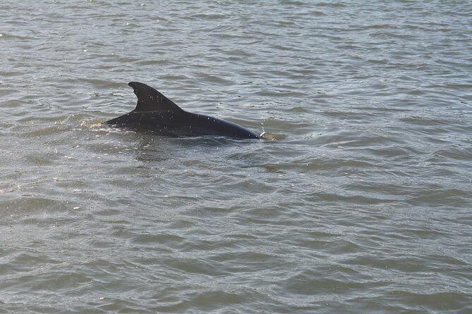 Half Day Shelling Dolphin Eco Tour in 10 000 Island and Marco - On the Water Comfort: Seating, Restrooms, and Boat Notes