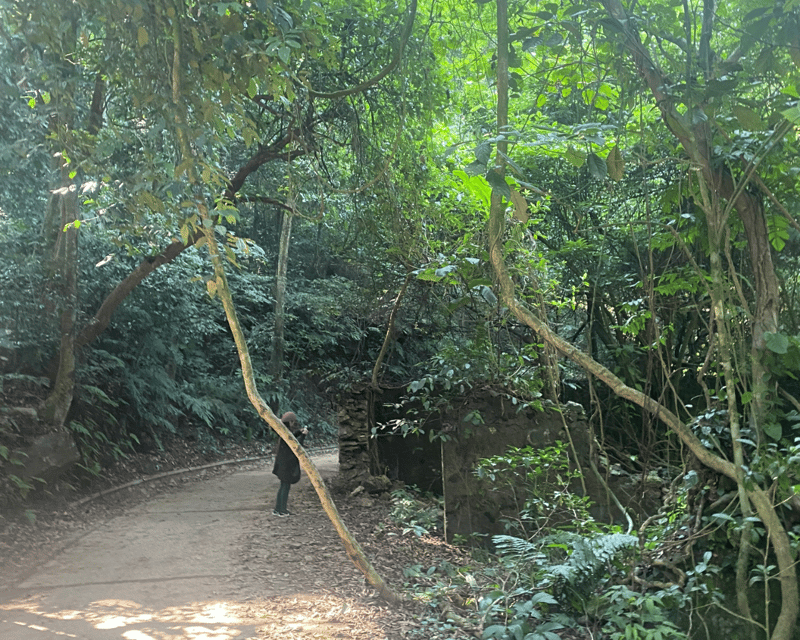 Hanoi Eco Tour: Ba Vi National Park Wonders & Tea Plantation - Key highlights you’ll actually care about