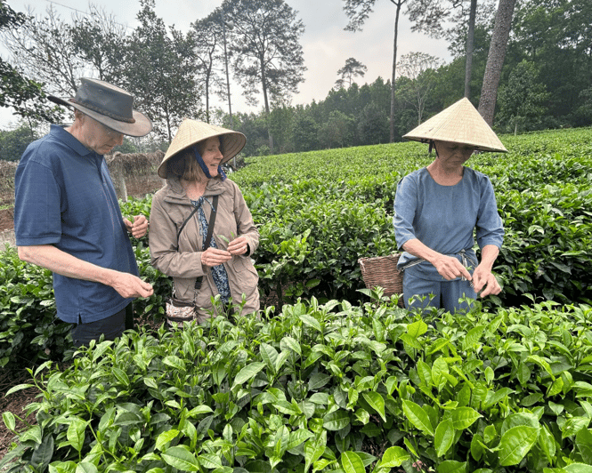 Hanoi Eco Tour: Ba Vi National Park Wonders & Tea Plantation - Comfort notes: walking expectations and photo timing