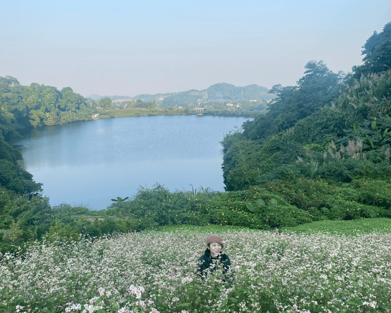 Hanoi Eco Tour: Ba Vi National Park Wonders & Tea Plantation - Tea with Mr. Duoc: a Vietnam War veteran’s lesson