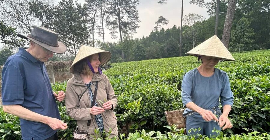 Hanoi Eco Tour: Ba Vi National Park Wonders & Tea Plantation - What you get for $80: value in the practical details