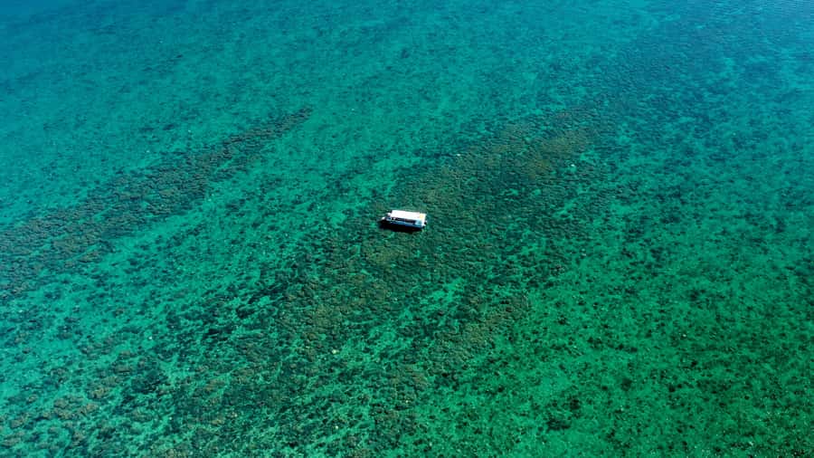 Hervey Bay: Turtle Discovery Eco Tour - Why the Great Sandy Strait is perfect for a turtle-focused day