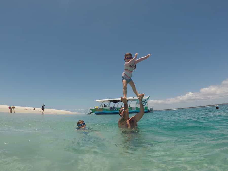 Hervey Bay: Turtle Discovery Eco Tour - The wildlife search: turtles, dolphins, dugongs, and more