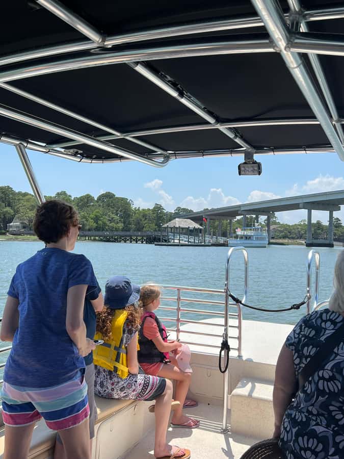 Hilton Head: Dolphin Eco Tour with Naturalist Guide - Price and Value: Is $47 Worth It for 90 Minutes?