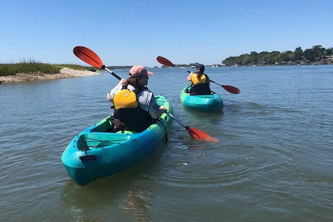 Hilton Head Guided Kayak Eco Tour - Six quick hits before you book