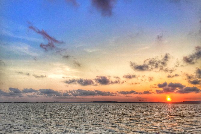 Hilton Head Guided Kayak Eco Tour - The paddle clinic: get steady before you head into the marsh