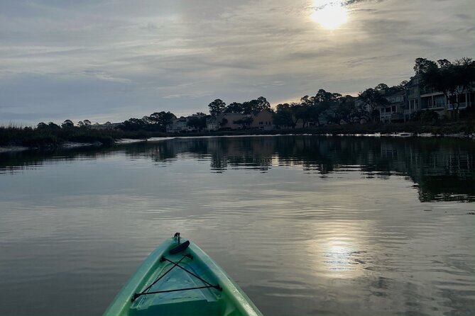 Hilton Head Guided Kayak Eco Tour - Wildlife spotting: birds, oyster shells, and dolphins when conditions line up