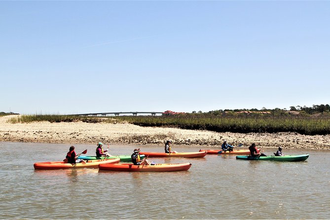 Hilton Head Guided Kayak Eco Tour - Guides, group size, and the human side of the trip