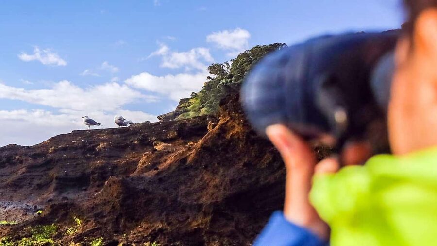 Inside Vila Franca Islet: Guided Nature Reserve Eco Tour - When landing doesn’t happen: how the tour handles rough weather