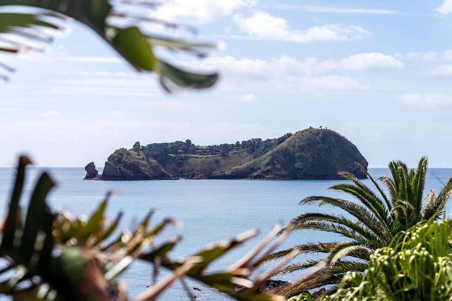 Inside Vila Franca Islet: Guided Nature Reserve Eco Tour - Price at $47: what you’re paying for (and what you’re not)