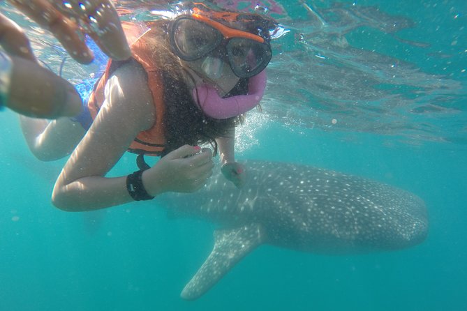 Intimate Eco-Friendly Whale Shark Encounter - Premium Service - Key things that make this encounter special