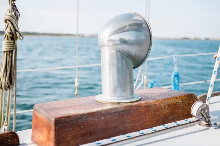 Intracoastal Waterway: Eco Tour - Bird-Spotting for Least Terns and Black Skimmers