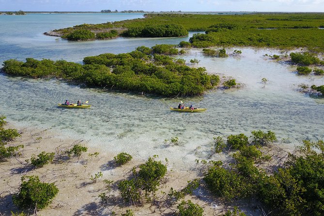 Kayak Eco Tour - Beach swim: the best kind of cooldown after paddling