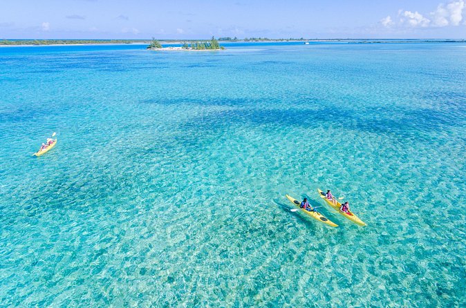 Kayak Eco Tour - Weather, sea conditions, and how to plan your day around them
