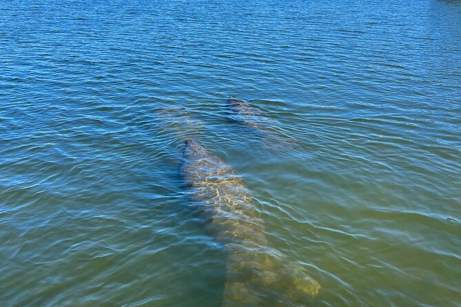 Kayak Eco Tour in Don Pedro Island - The route to Mangrove Cove Beach: how the guide gets you oriented