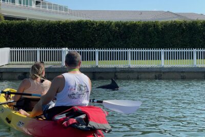 Kayak Eco Tour in Don Pedro Island - Launching from the Don Pedro Island land base (and why it matters)