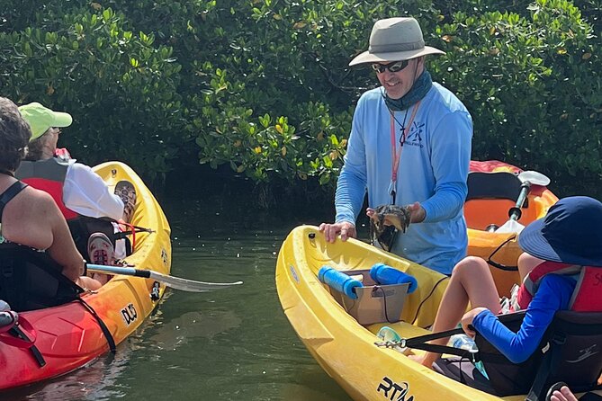 Kayak Eco Tour in Don Pedro Island - The history lesson: island connections you can picture