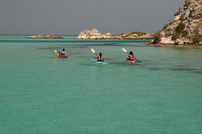 Kayak Eco Tour - From Big Blue Collective to the Mangrove Canals: what the 4 hours feel like
