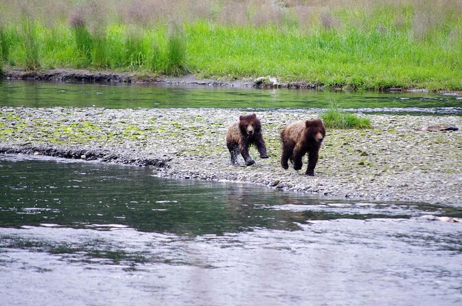 Ketchikan Kayak Eco-Tour - Key highlights I’d prioritize