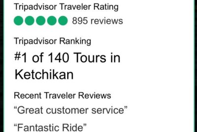 Ketchikan: Kayak Eco-Tour - Getting to the water: pickup that actually works