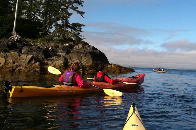 Ketchikan Kayak Eco-Tour - Should you book this Ketchikan kayak eco-tour?