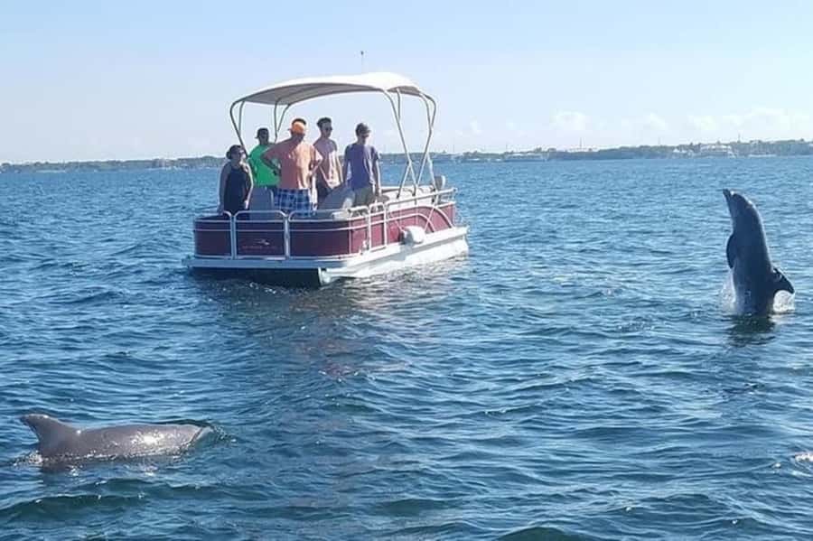 Key Largo: Boat Eco Tour - Why This 90-Minute Eco Boat Tour Works in Key Largo