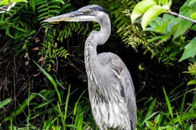 Key Largo: Boat Eco Tour - Getting to Reefhouse Resort and Marina: Start With Easy Directions
