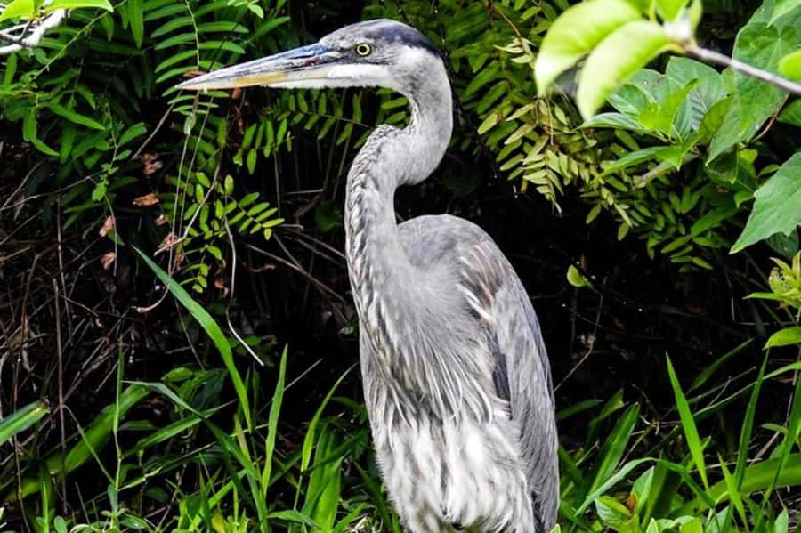 Key Largo: Boat Eco Tour - Getting to Reefhouse Resort and Marina: Start With Easy Directions