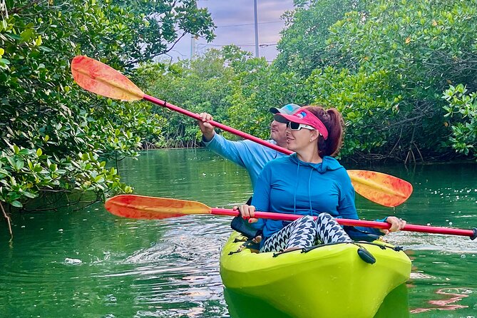 Key West Kayak Eco Tour | An Eco-Friendly Adventure Awaits! - Wildlife Chances: Sharks, Jellyfish, and How to Stay Alert