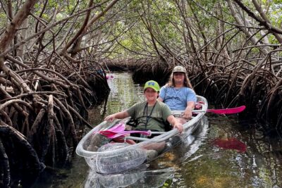 Key West Kayak Eco Tour | An Eco-Friendly Adventure Awaits! - The Water Route: What “Mangrove Mazes” Actually Means
