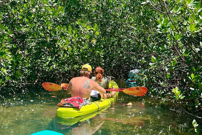 Key West Kayak Eco Tour | An Eco-Friendly Adventure Awaits! - The Guided Experience: What You’ll Gain From Your Local Guide