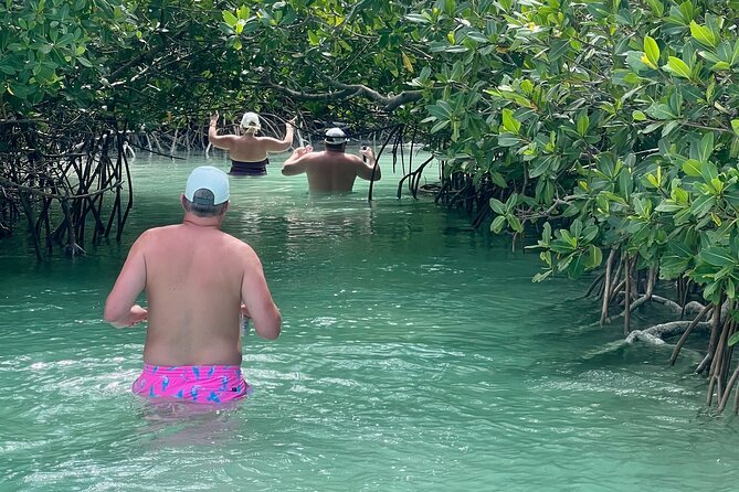 Key West Kayak Eco Tour | An Eco-Friendly Adventure Awaits! - Getting Started at the Meeting Point on 5th Ave