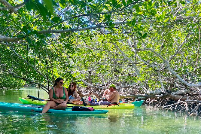 Key West Kayak Eco Tour | An Eco-Friendly Adventure Awaits! - Who Should Book This Kayak Eco Tour (And Who Might Skip It)