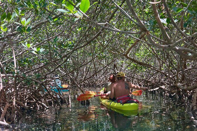 Key West Kayak Eco Tour | An Eco-Friendly Adventure Awaits! - Price and Value: $60 for Kayak Gear and a Local Guide