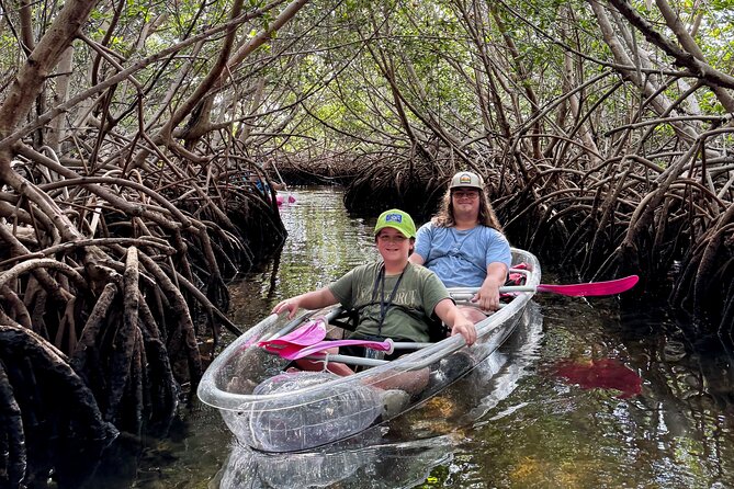 Key West Kayak Eco Tour | An Eco-Friendly Adventure Awaits! - The Water Route: What “Mangrove Mazes” Actually Means