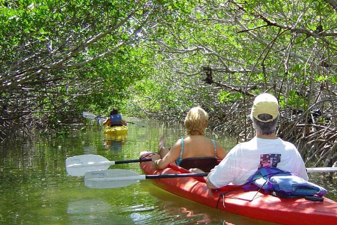 Key West Mangrove Kayak Eco Tour - Quick takeaways before you book