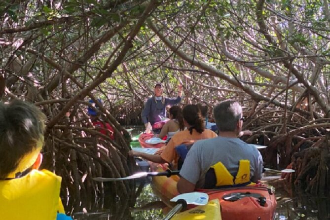 Key West Mangrove Kayak Eco Tour - What to bring for a mangrove day (and what to rent)