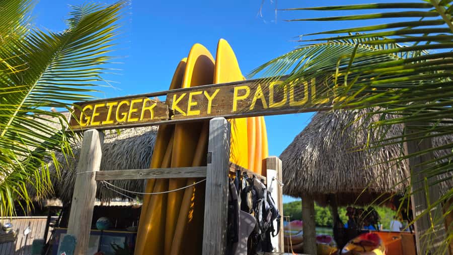 Key West: Mangrove Kayak or SUP Eco Tour - Kayak vs SUP in Key West: Picking the Right Boat for Your Comfort