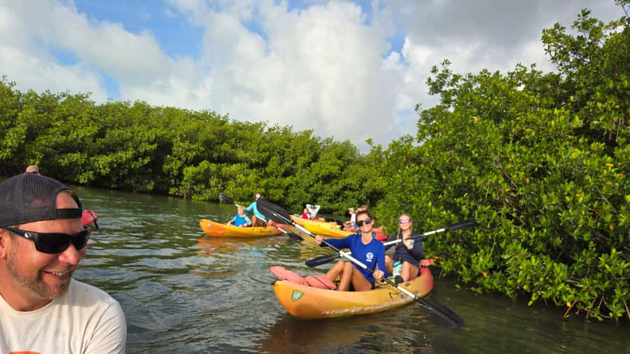 Key West: Mangrove Kayak or SUP Eco Tour - Dry Bags, Photos, and Staying Comfortable for 2 Hours