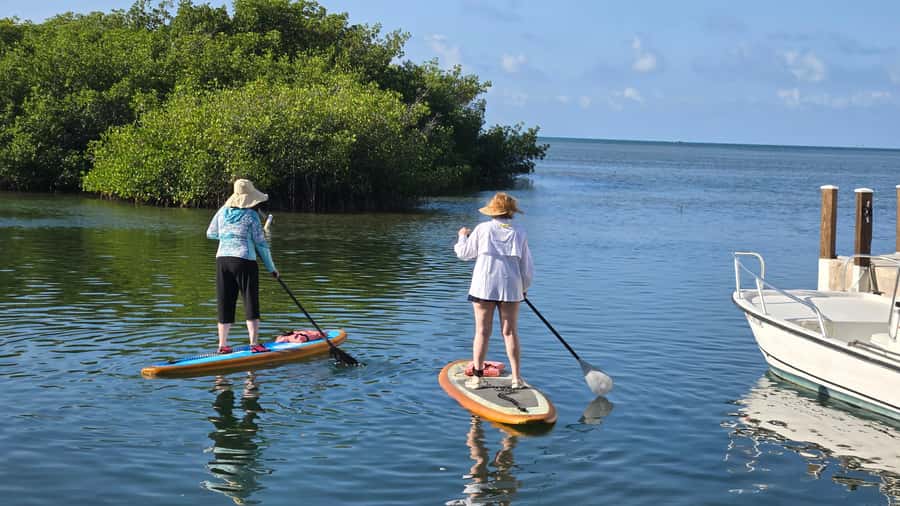 Key West: Mangrove Kayak or SUP Eco Tour - Price and Value: Is $140 Worth It?