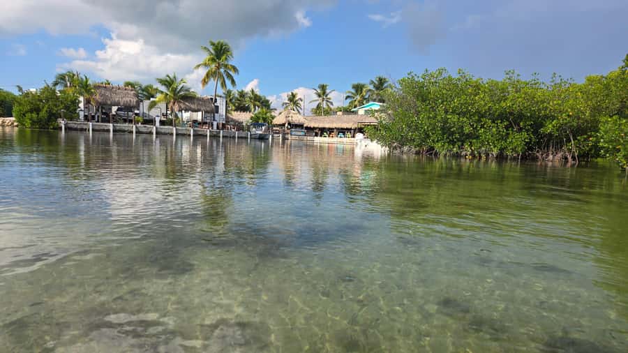 Key West: Mangrove Kayak or SUP Eco Tour - Should You Book the Key West Mangrove Kayak or SUP Eco Tour?