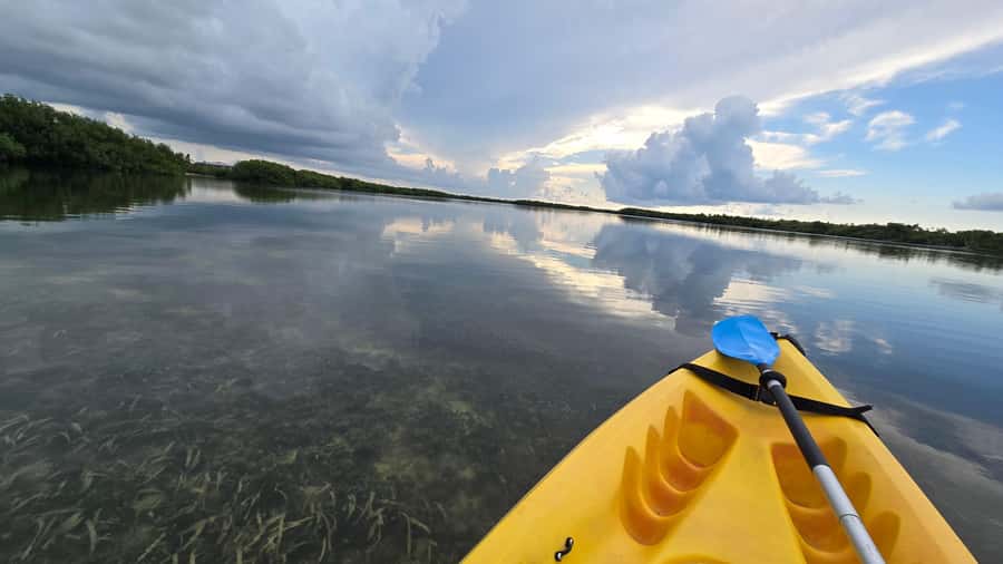 Key West: Mangrove Kayak or SUP Eco Tour - Hotel Pickup by Van: How the Start Stays Stress-Free