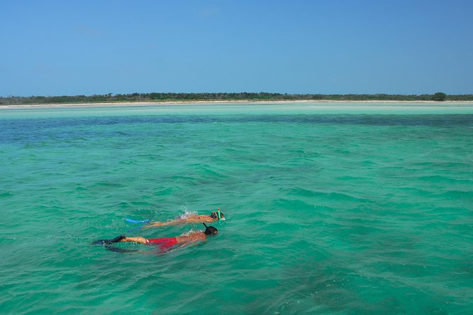 Key West's Island Adventure Sandbar Tour with Kayaking - Stop-by-stop: what each phase of the tour is really like