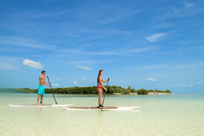 Key West's Island Adventure Sandbar Tour with Kayaking - Crew vibe and guide names: who you might get