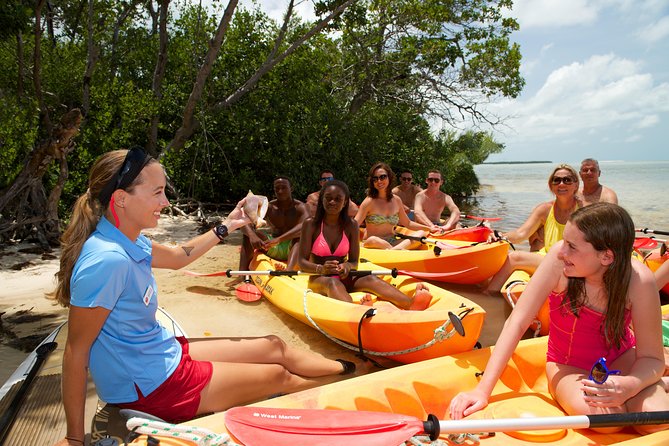 Key West's Island Adventure Sandbar Tour with Kayaking - Who this tour fits best (and who should pick something else)