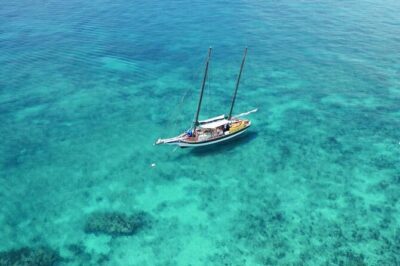 Key West Schooner Backcountry Eco Tour Sail Snorkel and Kayak - From 200 William St to a backcountry nature day