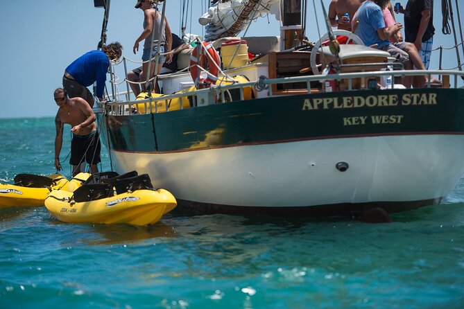Key West Schooner Backcountry Eco Tour Sail Snorkel and Kayak - Getting back aboard: the platform-and-ladder detail