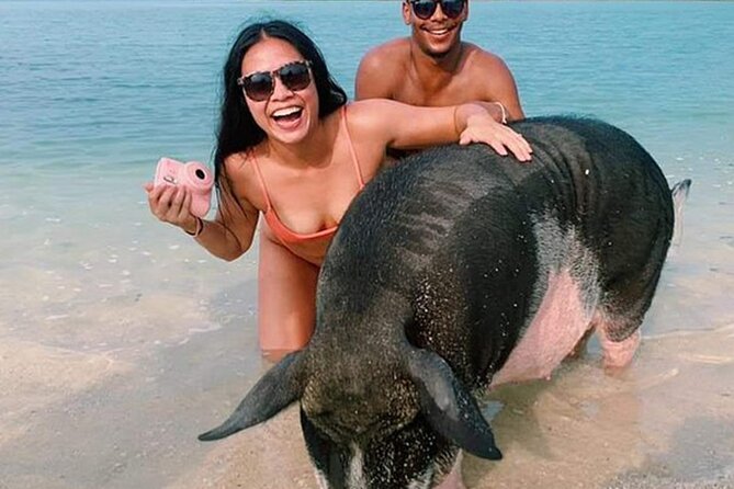 kohsamui.tours - Pig Island Snorkeling Eco Tour by Speed Boat - Key Points Worth Knowing