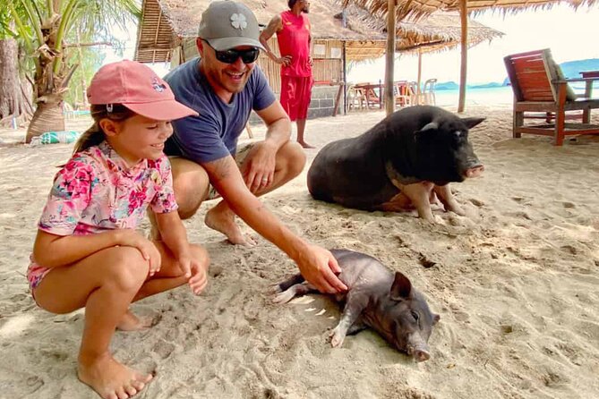 kohsamui.tours - Pig Island Snorkeling Eco Tour by Speed Boat - Return to Koh Samui: Sea Views, Possible Turtles, and a Smooth End