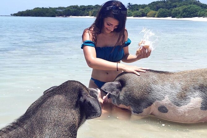 kohsamui.tours - Pig Island Snorkeling Eco Tour by Speed Boat - Price and Value: Is $61 Really Fair for This Combo?